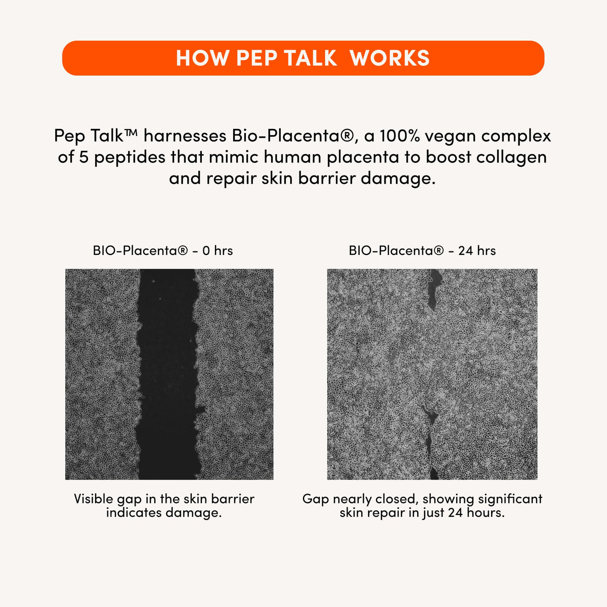 PEP TALK™ Bio-Peptide Barrier Repair Cream with Triple Lipid Complex
